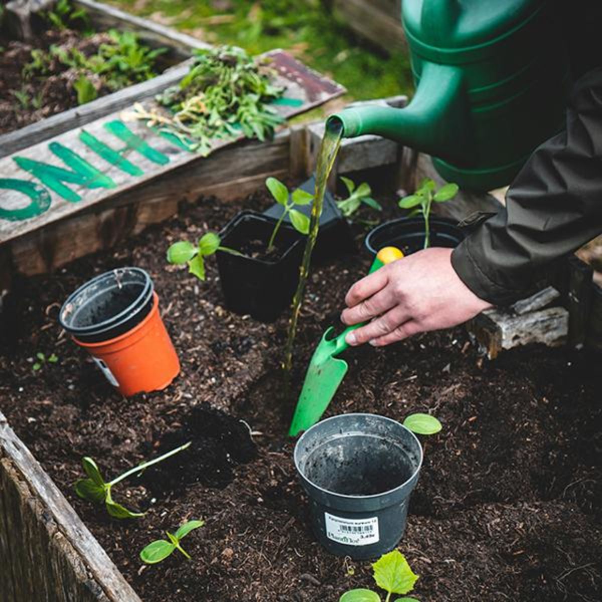 Atelier «introduction au jardinage urbain»