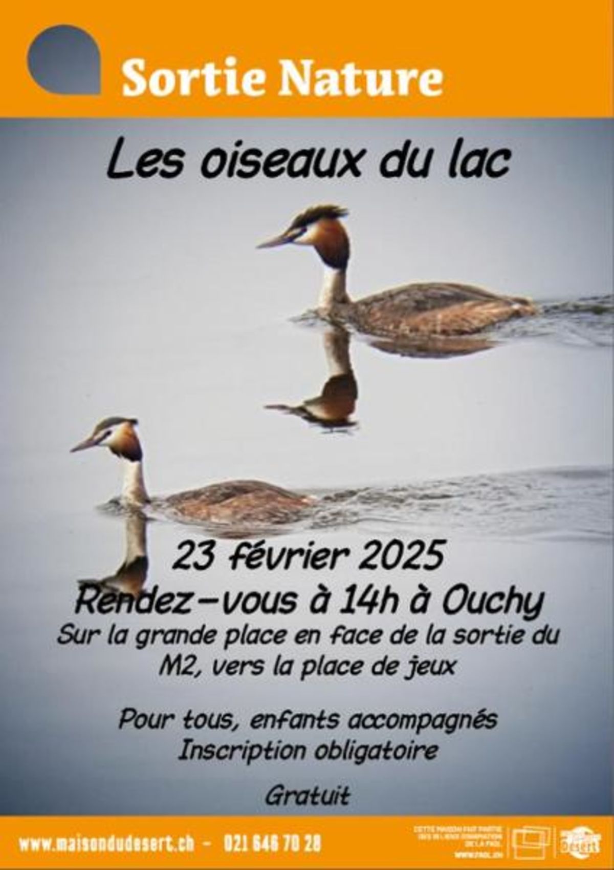 Les oiseaux du lac