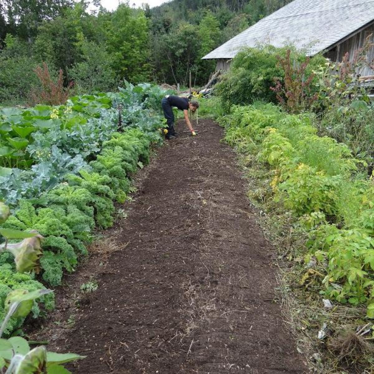 Atelier «La permaculture c’est quoi?»