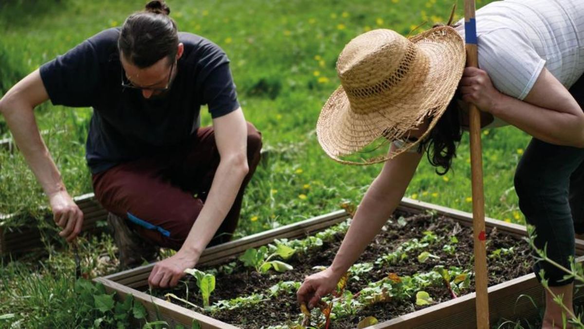 Chantier participatif d'ouverture