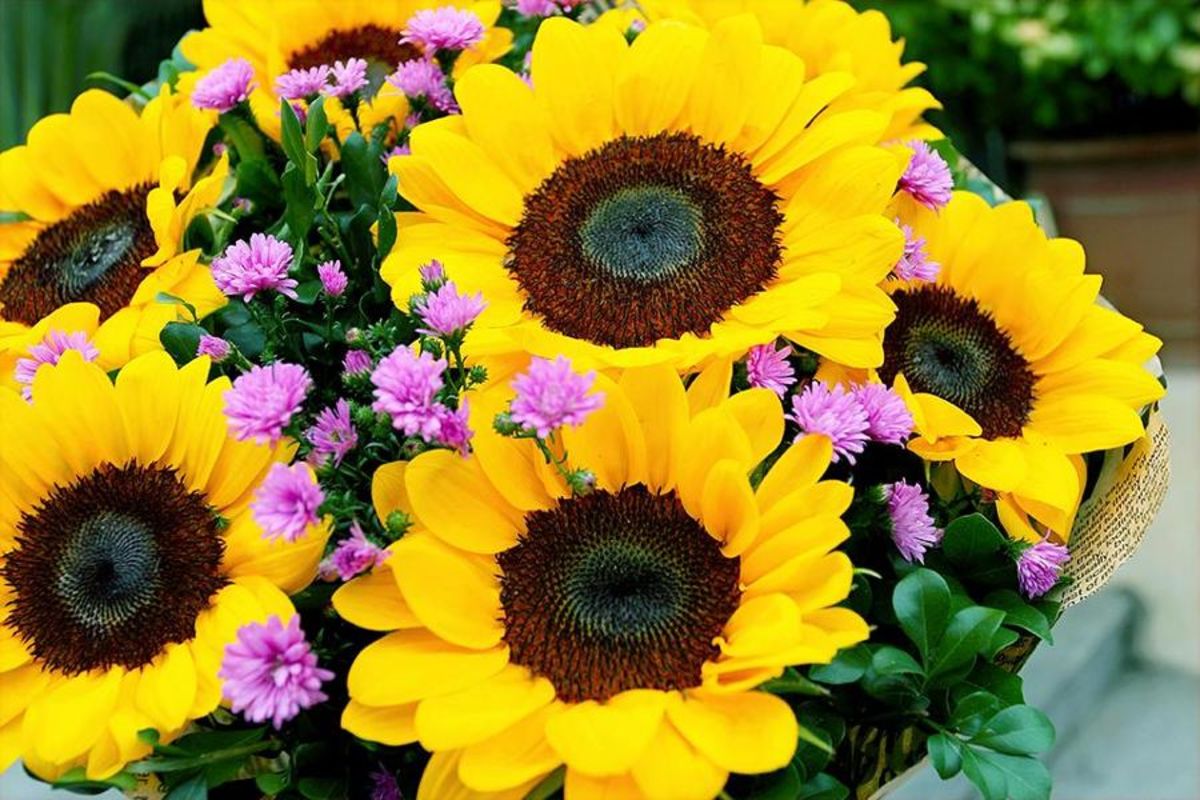 Atelier floral enfant-adulte «Le tournesol»