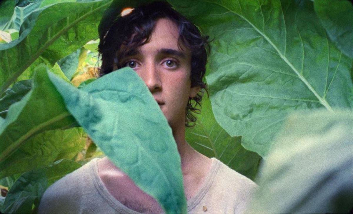 Lazzaro Felice