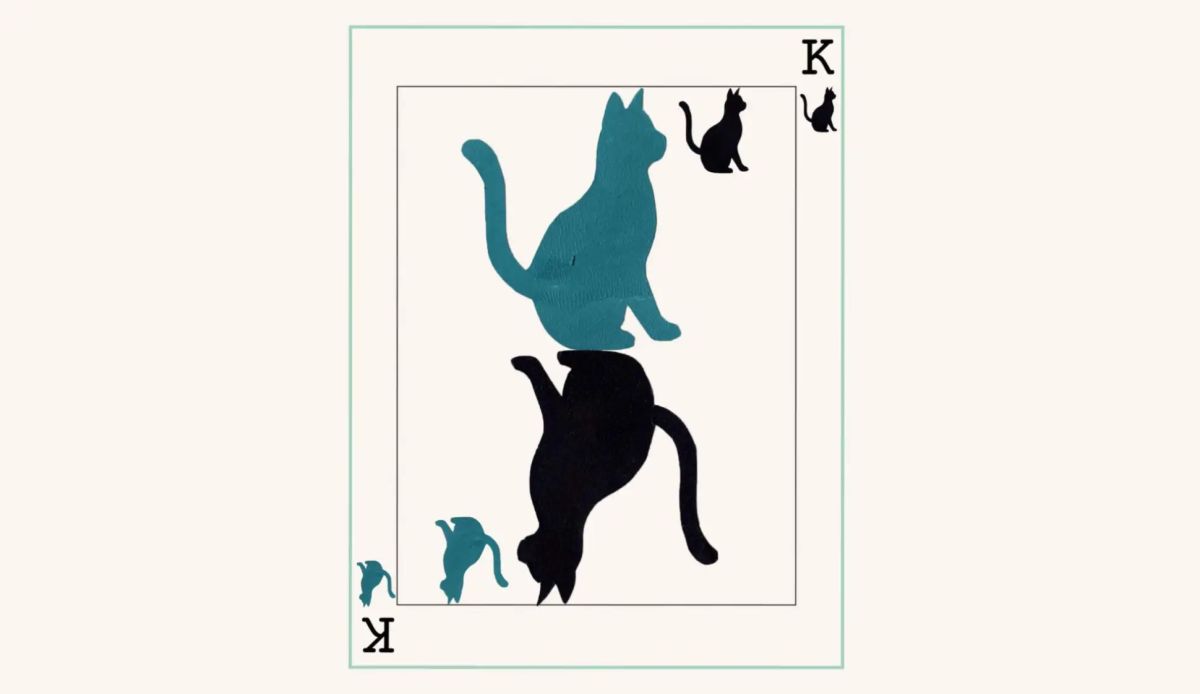 Un dimanche au royaume des chats