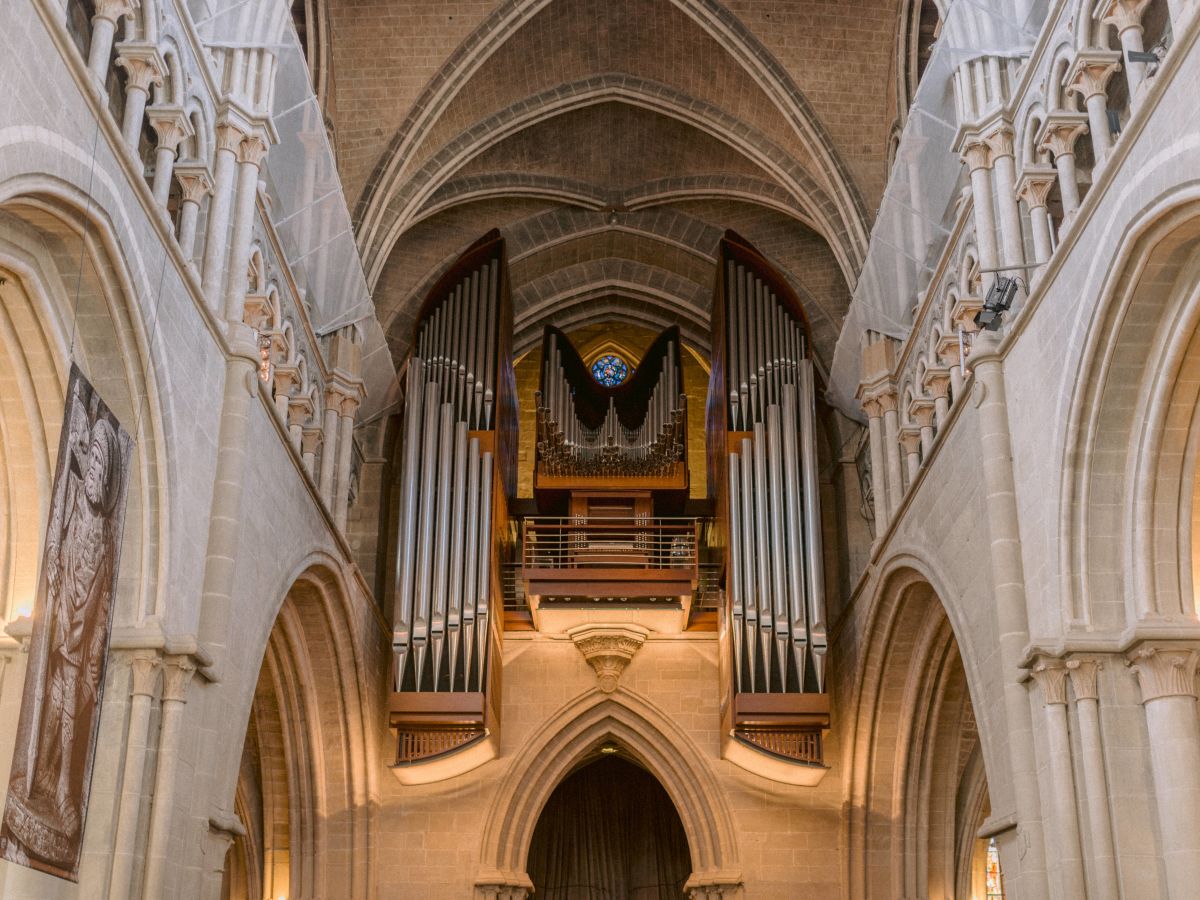 World-wide unique organ