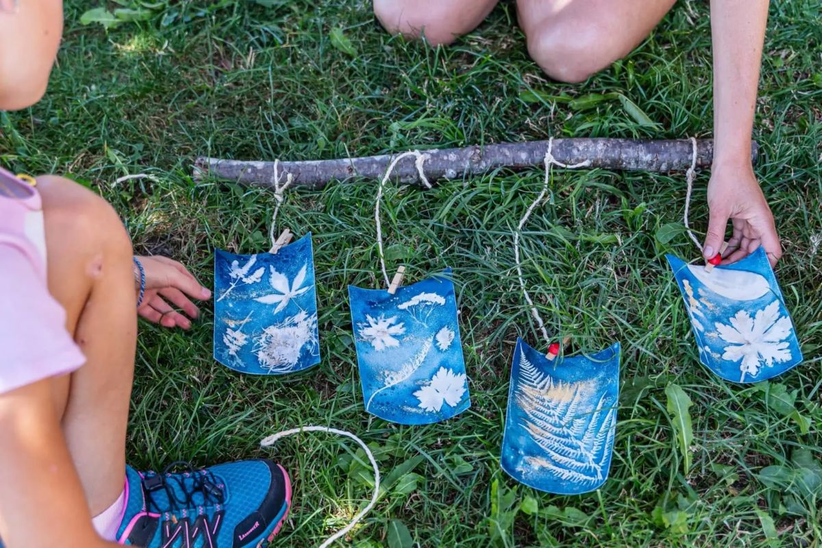 Ateliers cyanotype