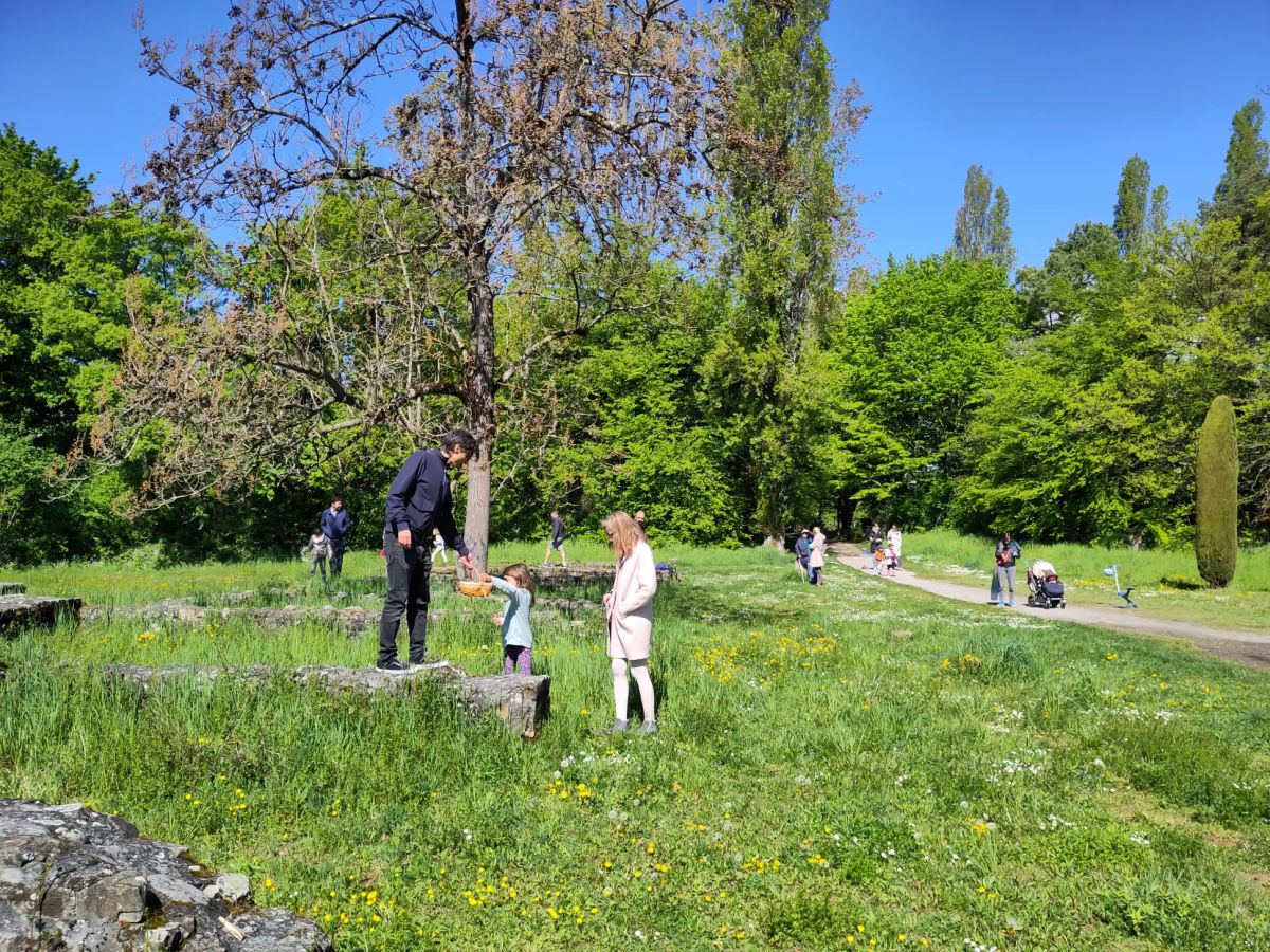 Attrapez-les tous! - chasse aux &oelig;ufs 