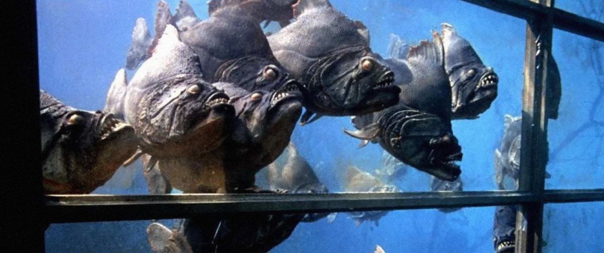Piranha