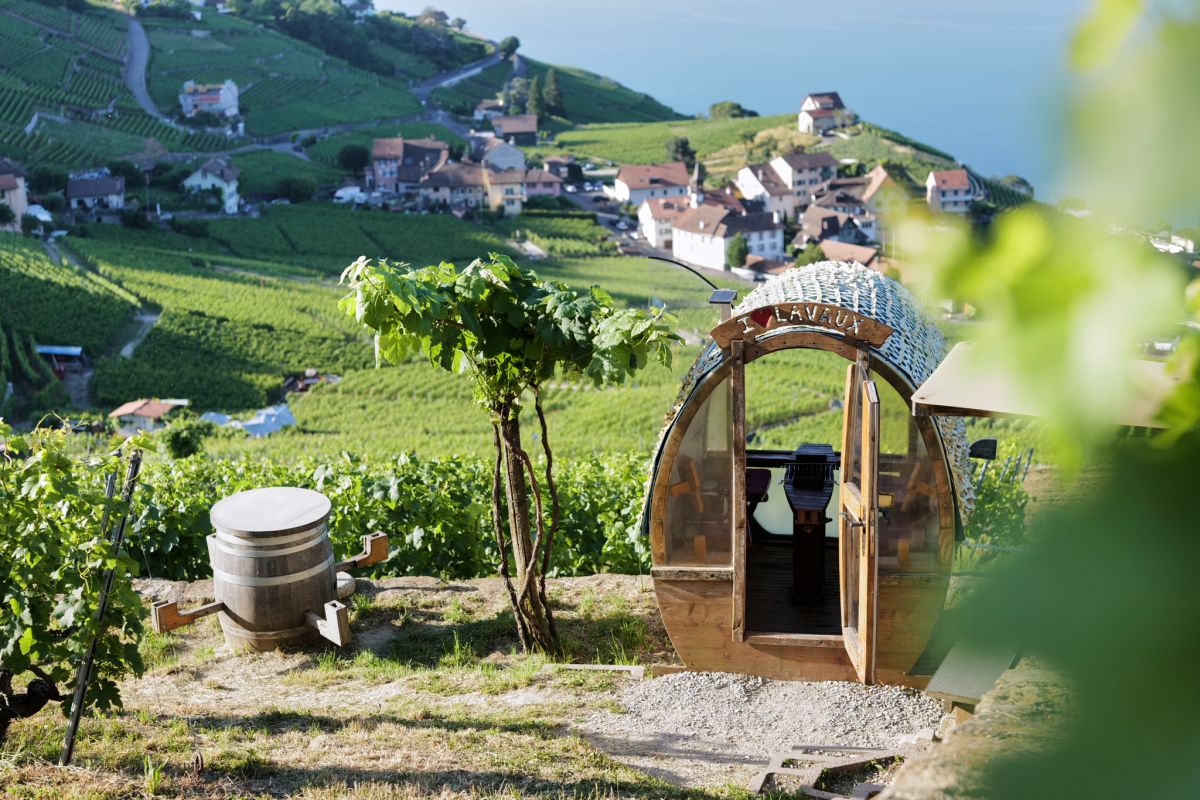 Domaine Vitis Musicalis