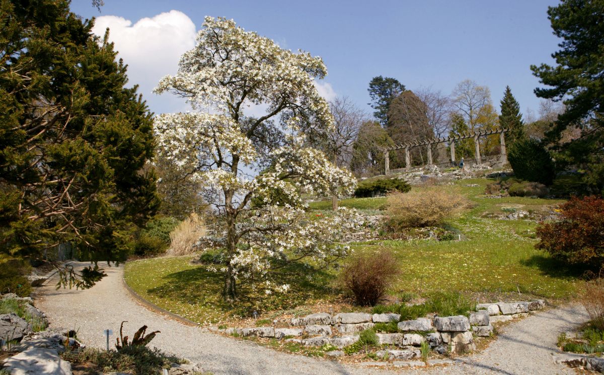 Naturéum - Botanical garden