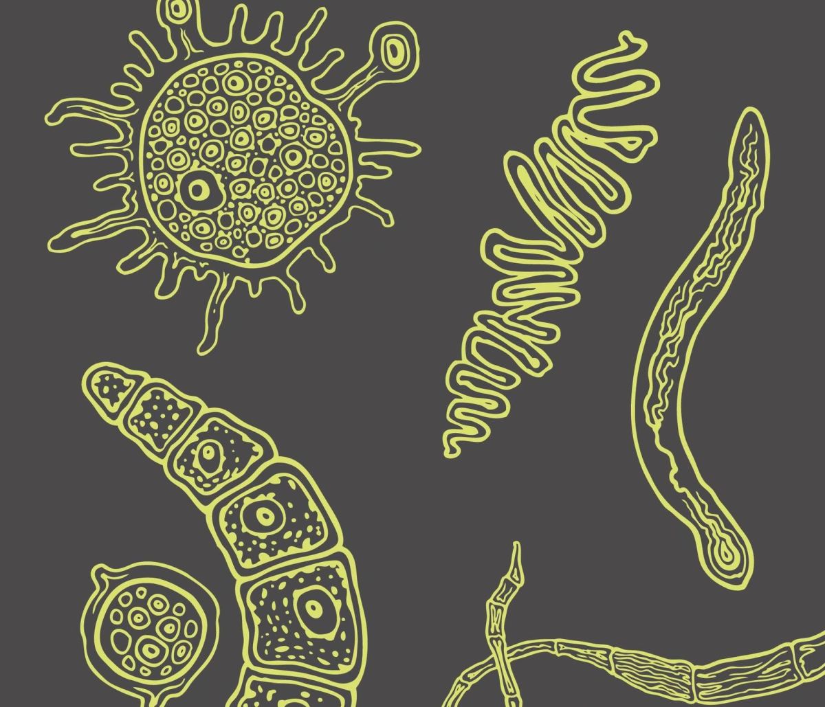 INVISIBLES. Das verborgene Leben der Mikroben