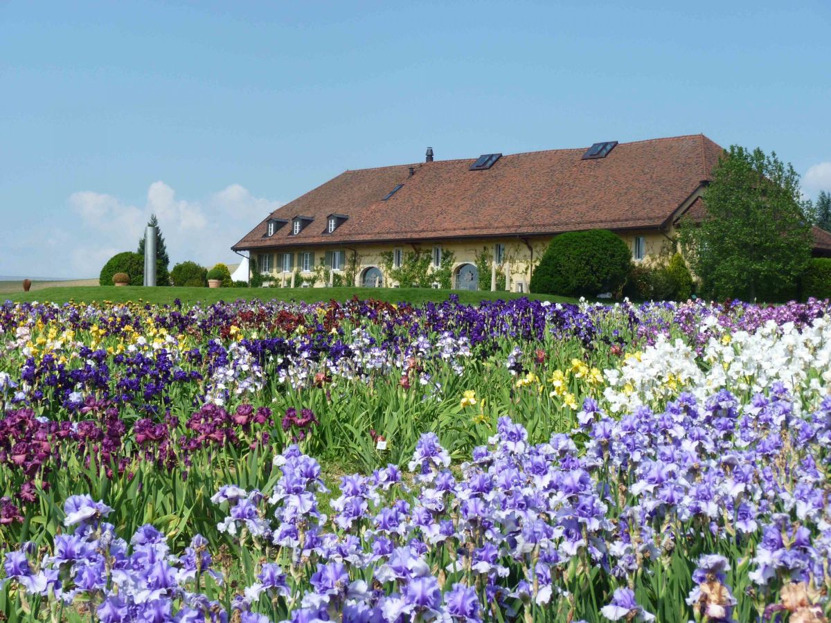 The Portes des Iris at Vullierens