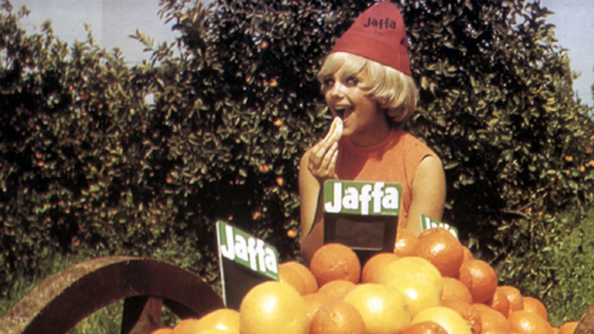 Jaffa, la m&eacute;canique de l&rsquo;orange