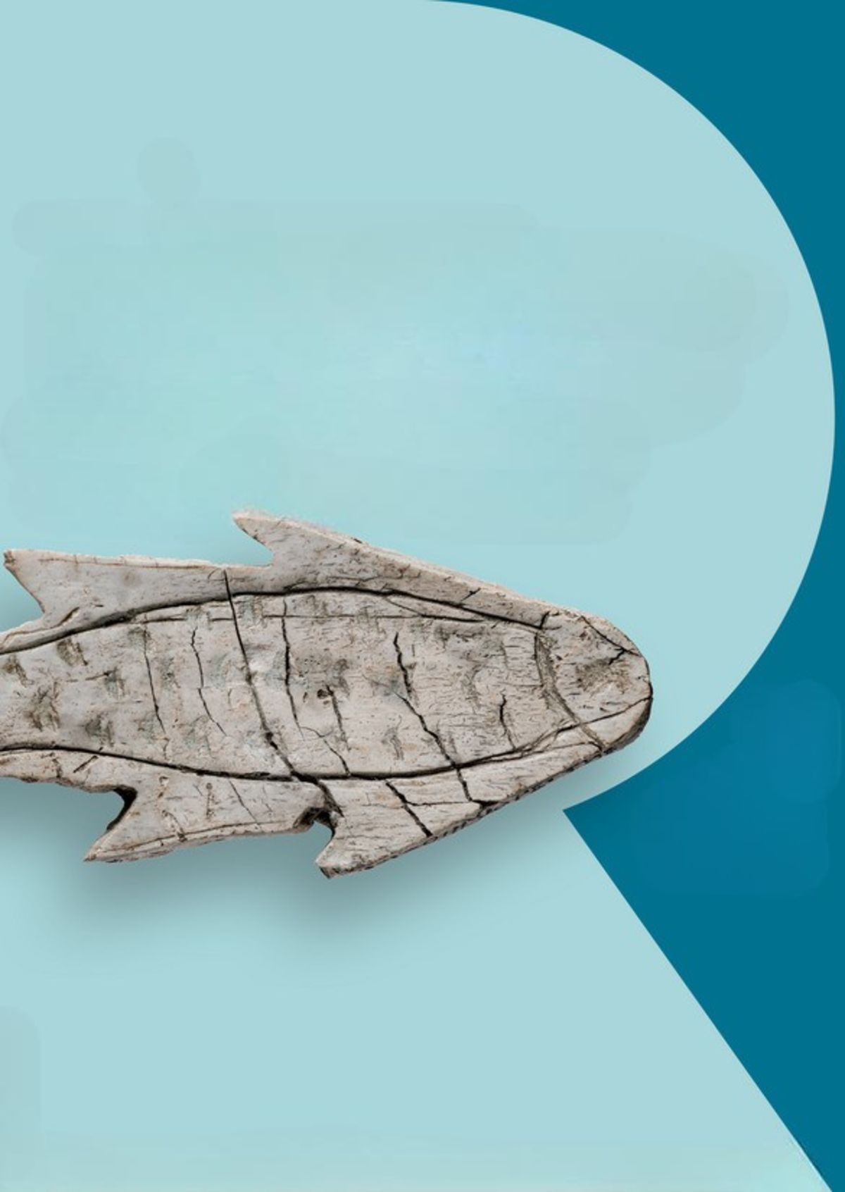 Spring 2026 Collections