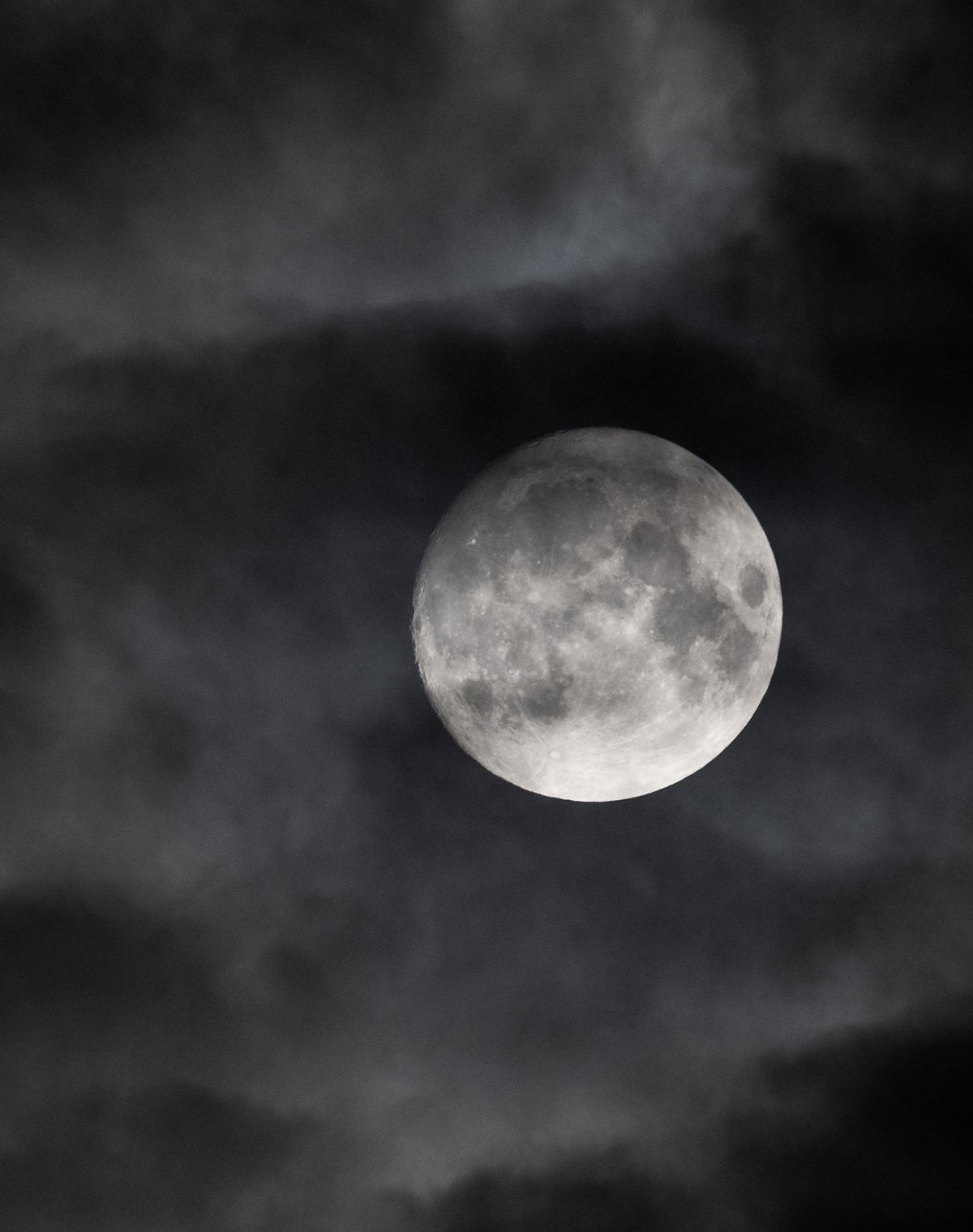 Tout nuit (The Dark)