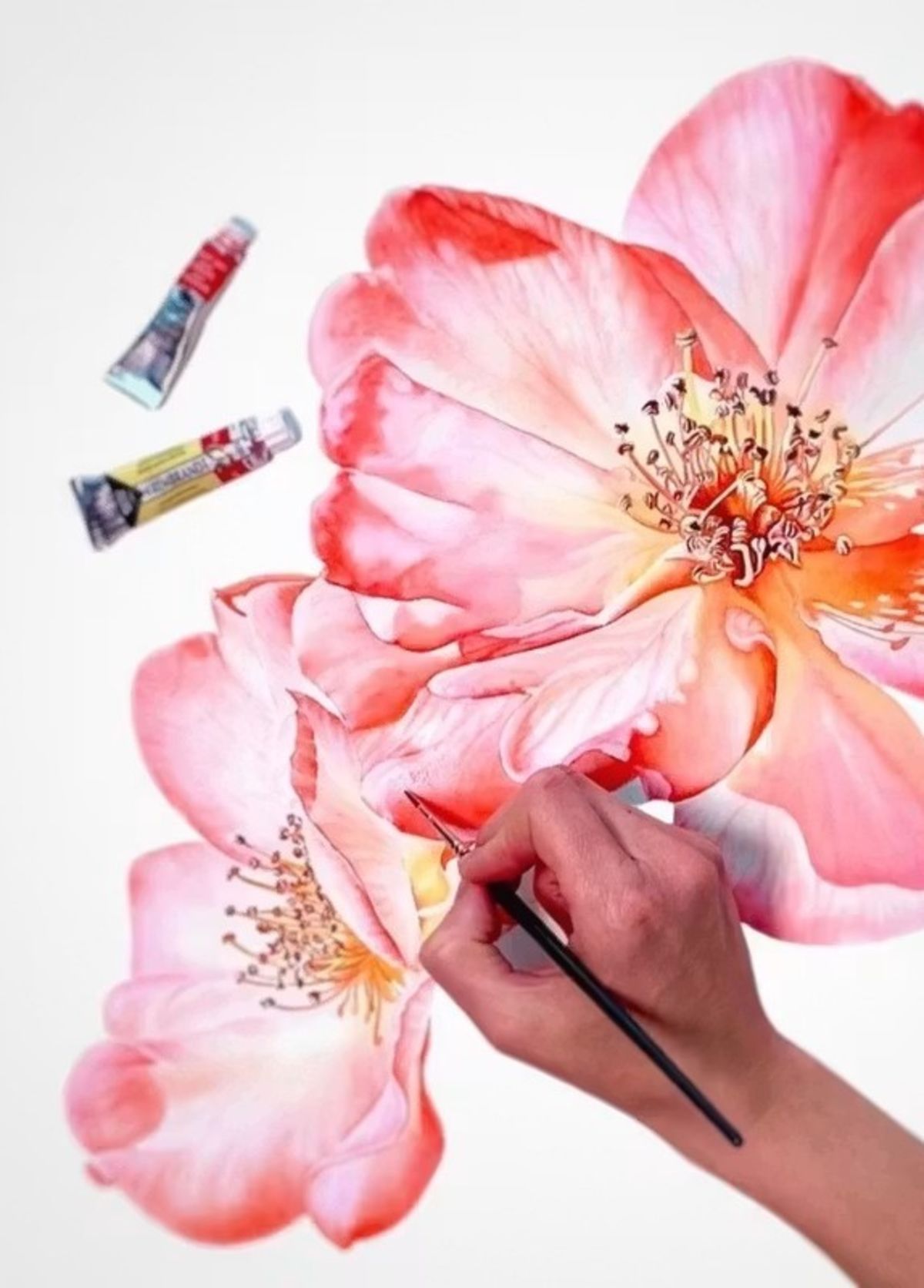 Aquarelle &amp; Aperitivo dans les jardins