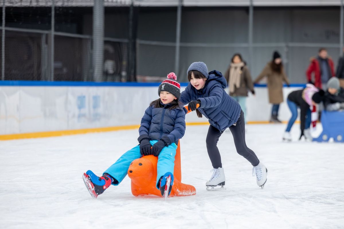 Journ&eacute;e de la glace