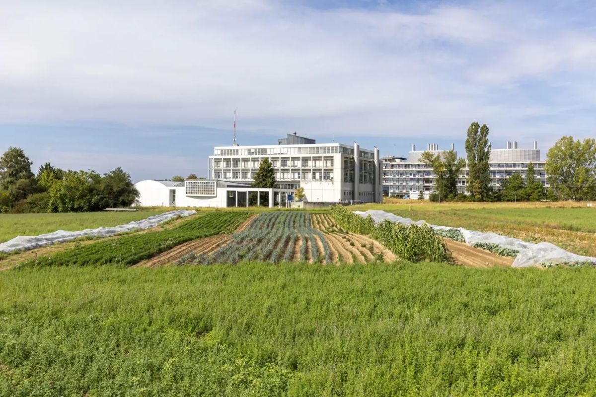 March&eacute; gourmand &amp; balade guid&eacute;e &agrave; l&rsquo;Unil