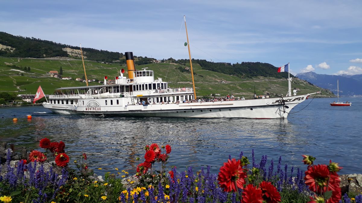 Rundfahrt auf dem Genfersee (CGN) - Degustation an Deck