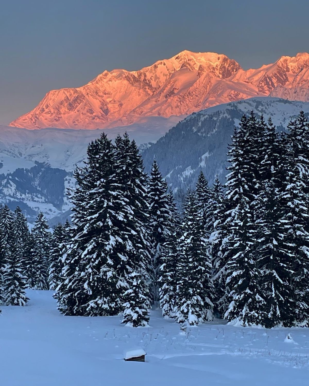 Montagne en Scène - Winter Edition