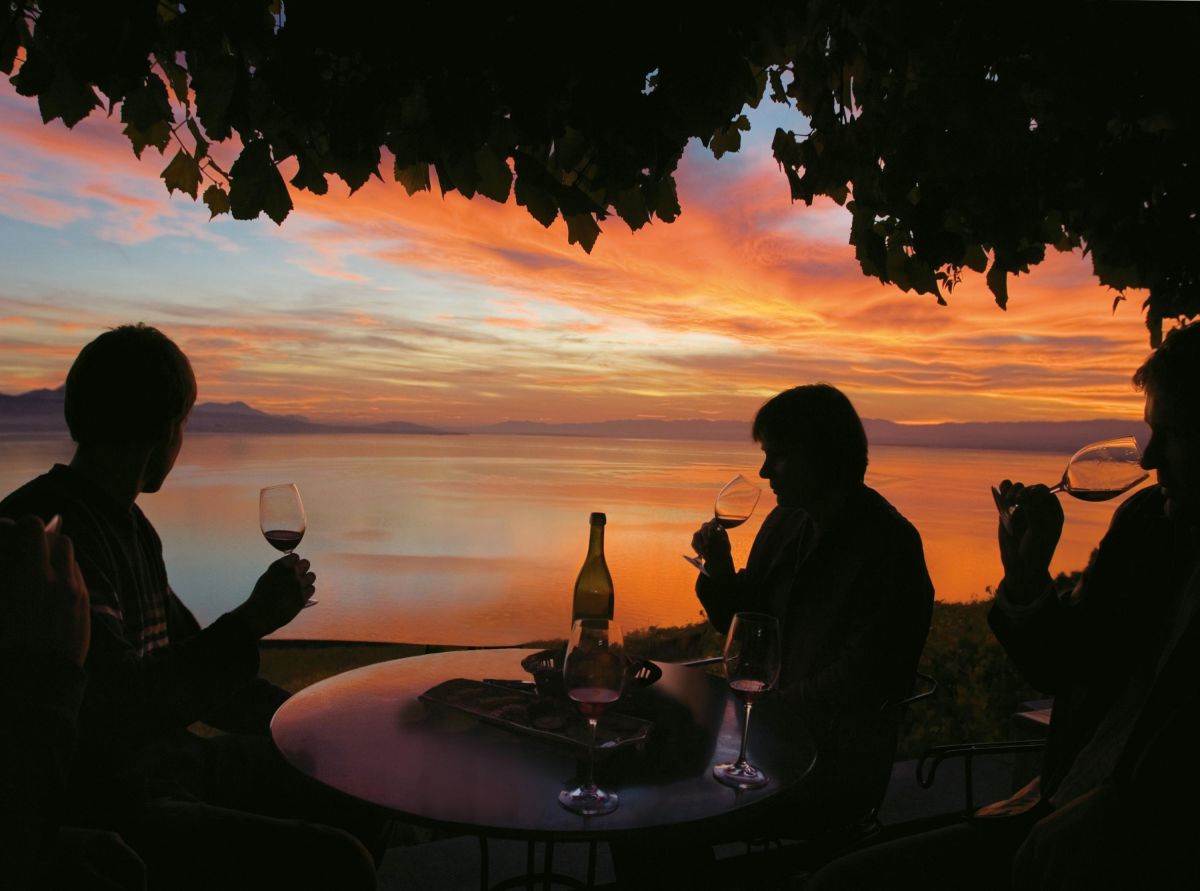 Open wine cellars in the canton of Vaud