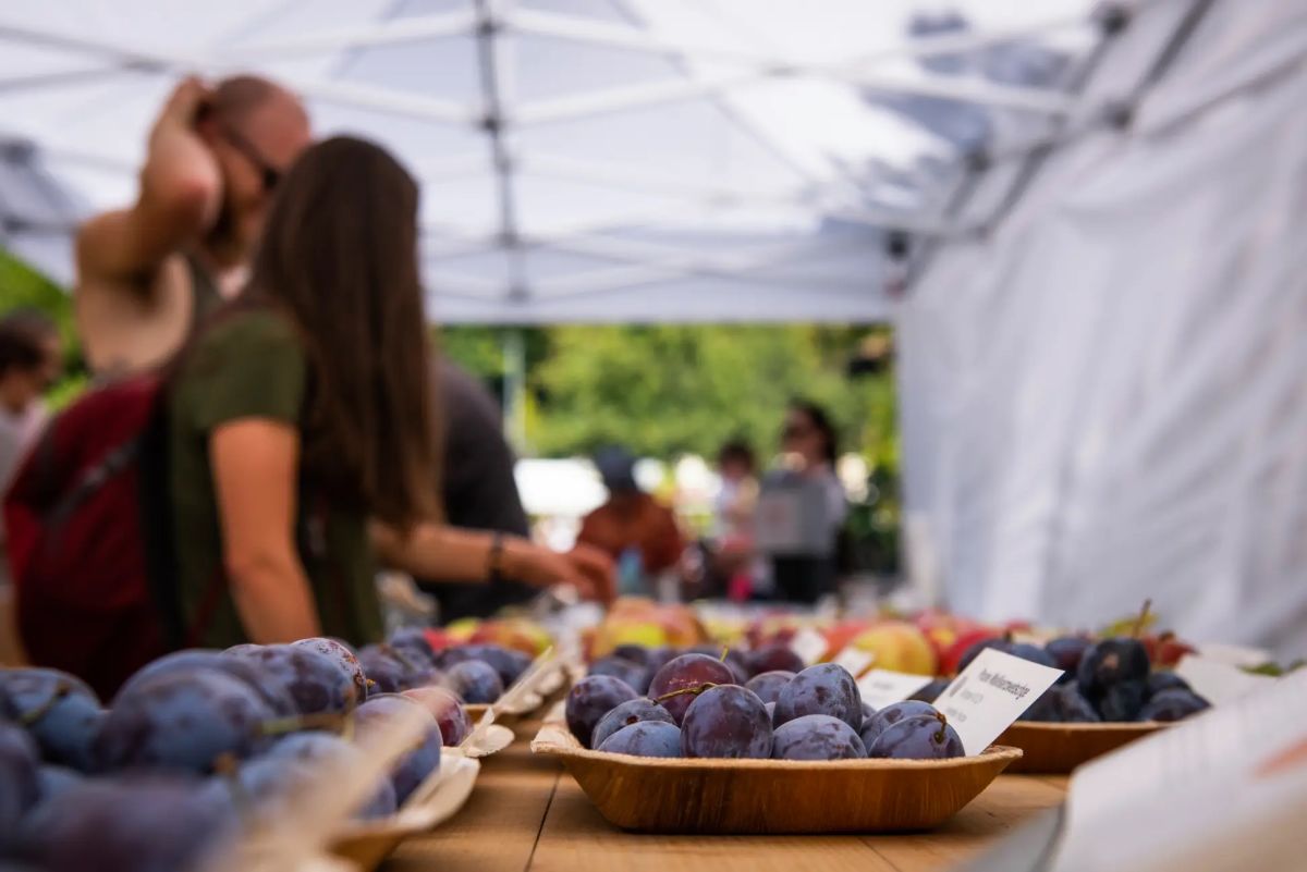 Marché d'automne ProSpecieRara