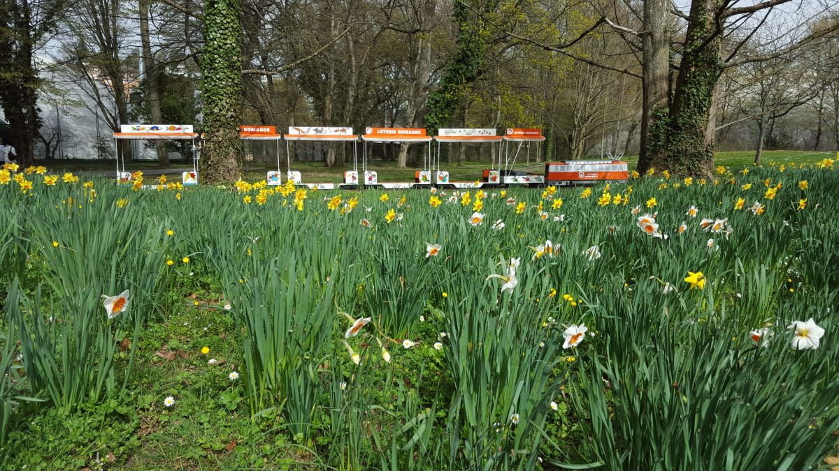 Liliputbahn „P’tit train de Lausanne-Vidy“