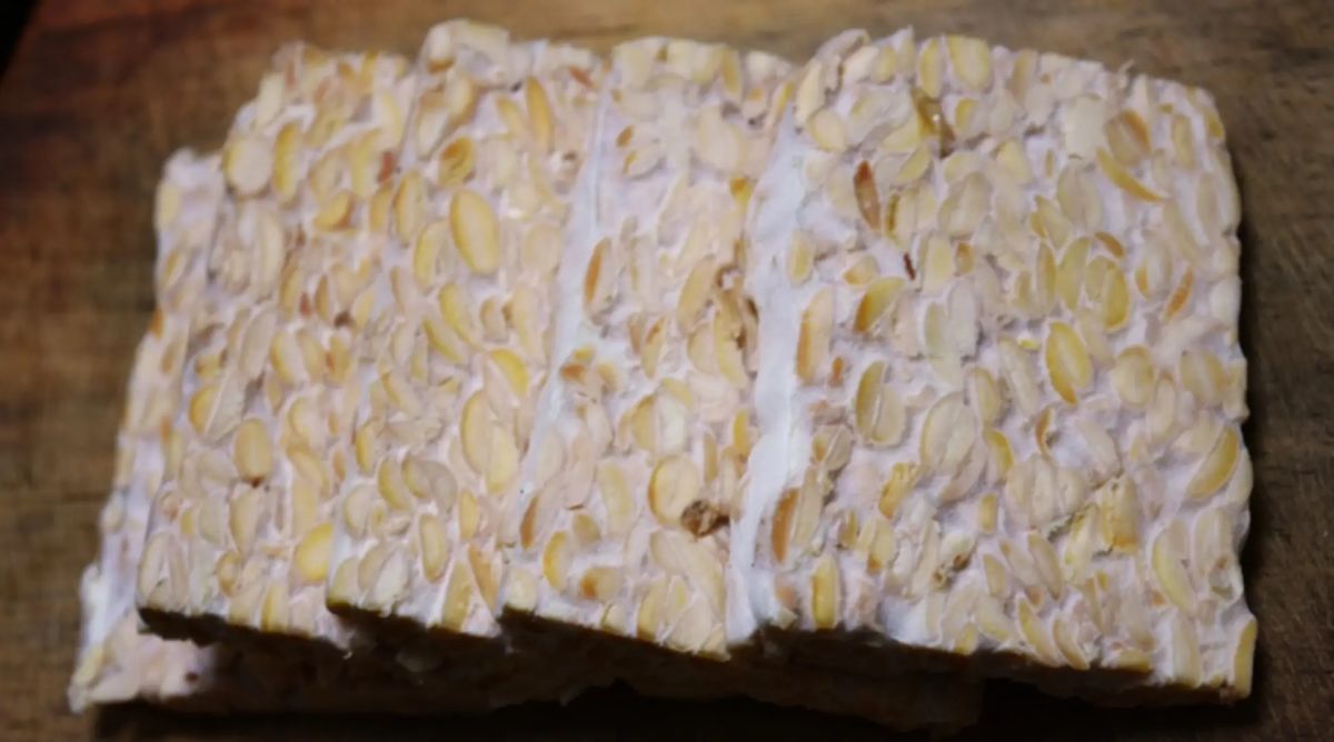 Initiation &agrave; la fabrication du Tempeh