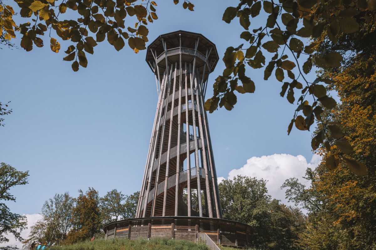 Auf dem Sauvabelin-Turm