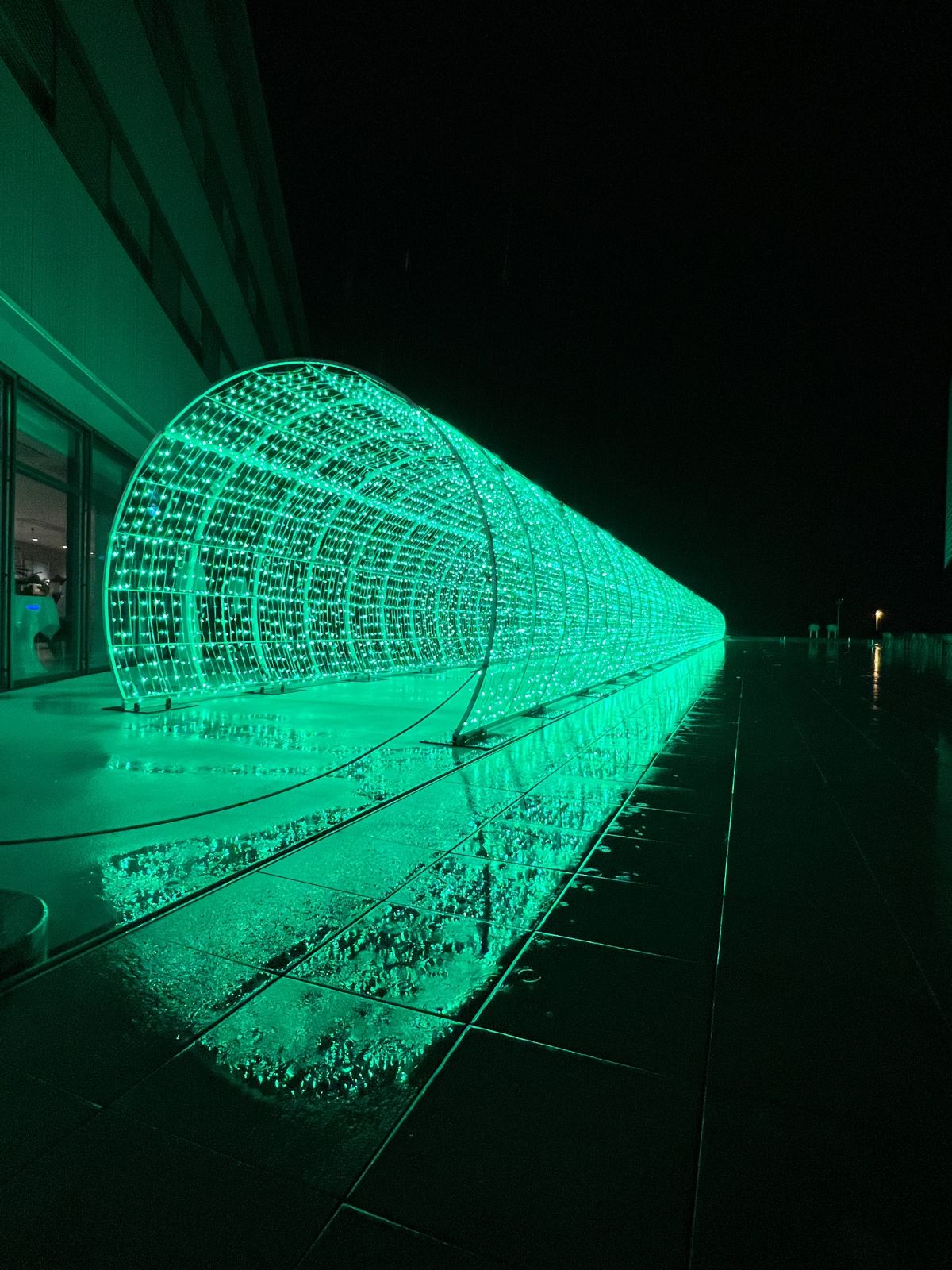 Tunnel lumineux AQUATIS - Aquarium-Vivarium Lausanne