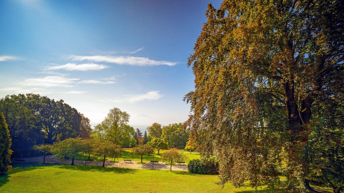 Parc de l'Elysée