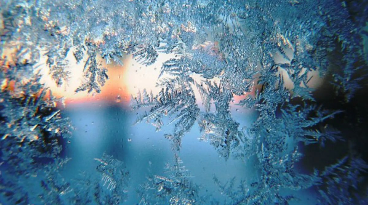 Voices in the snow