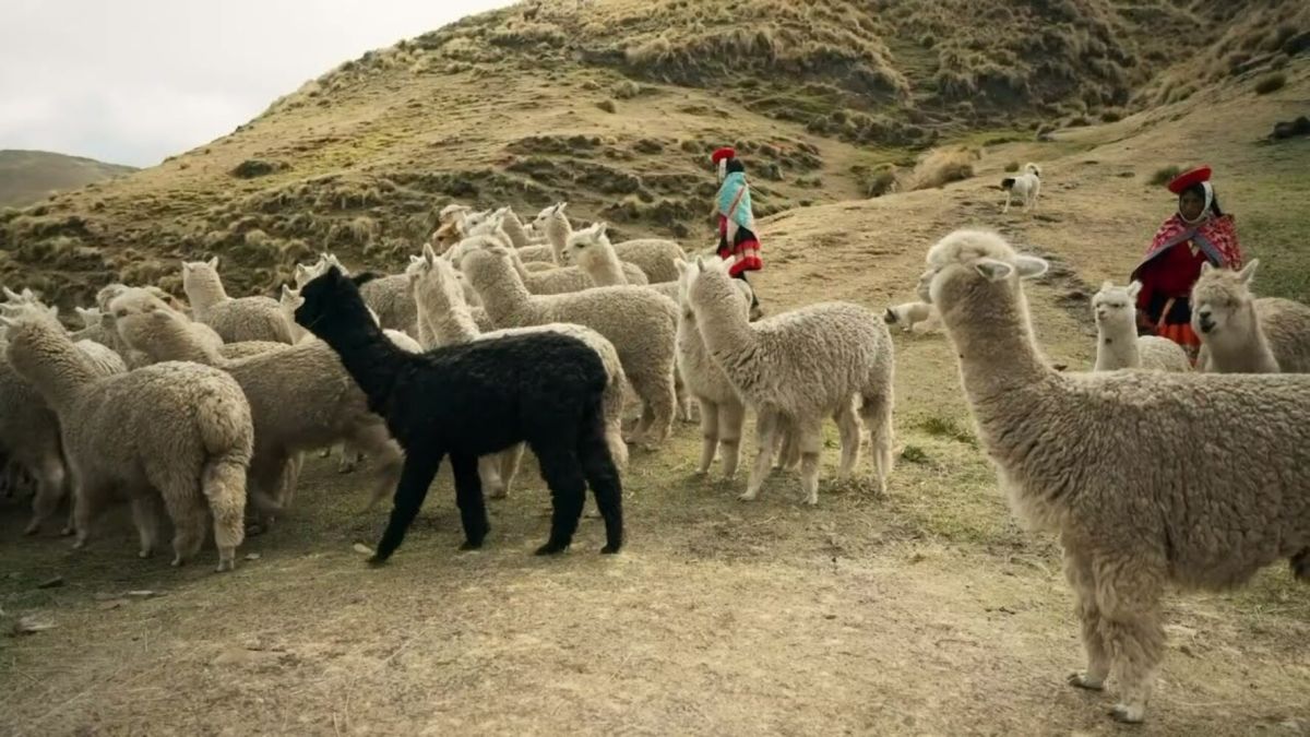 P&eacute;rou, des sommets sacr&eacute;s &agrave; la racine du monde