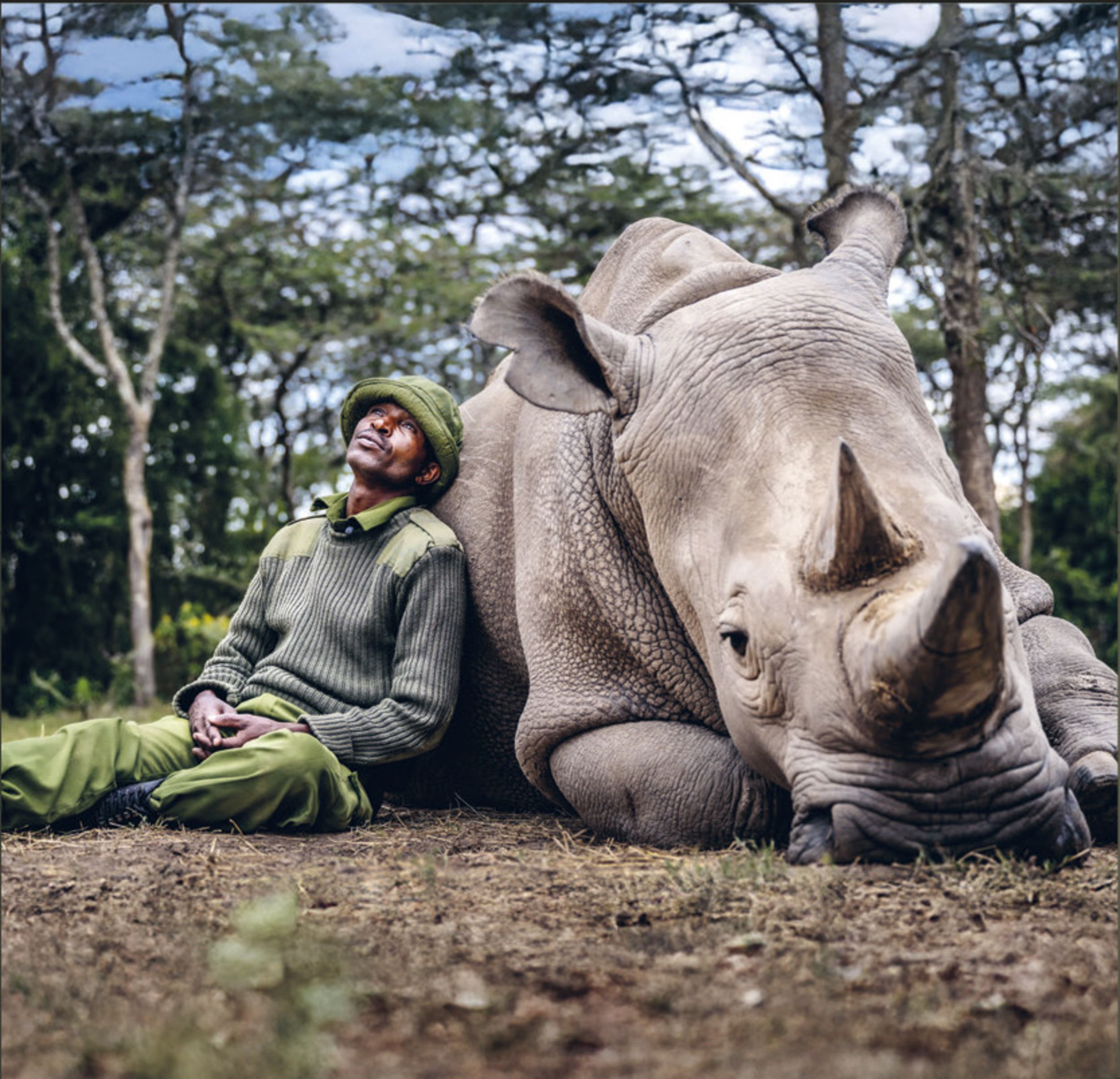 &copy; Matjaz Krivic