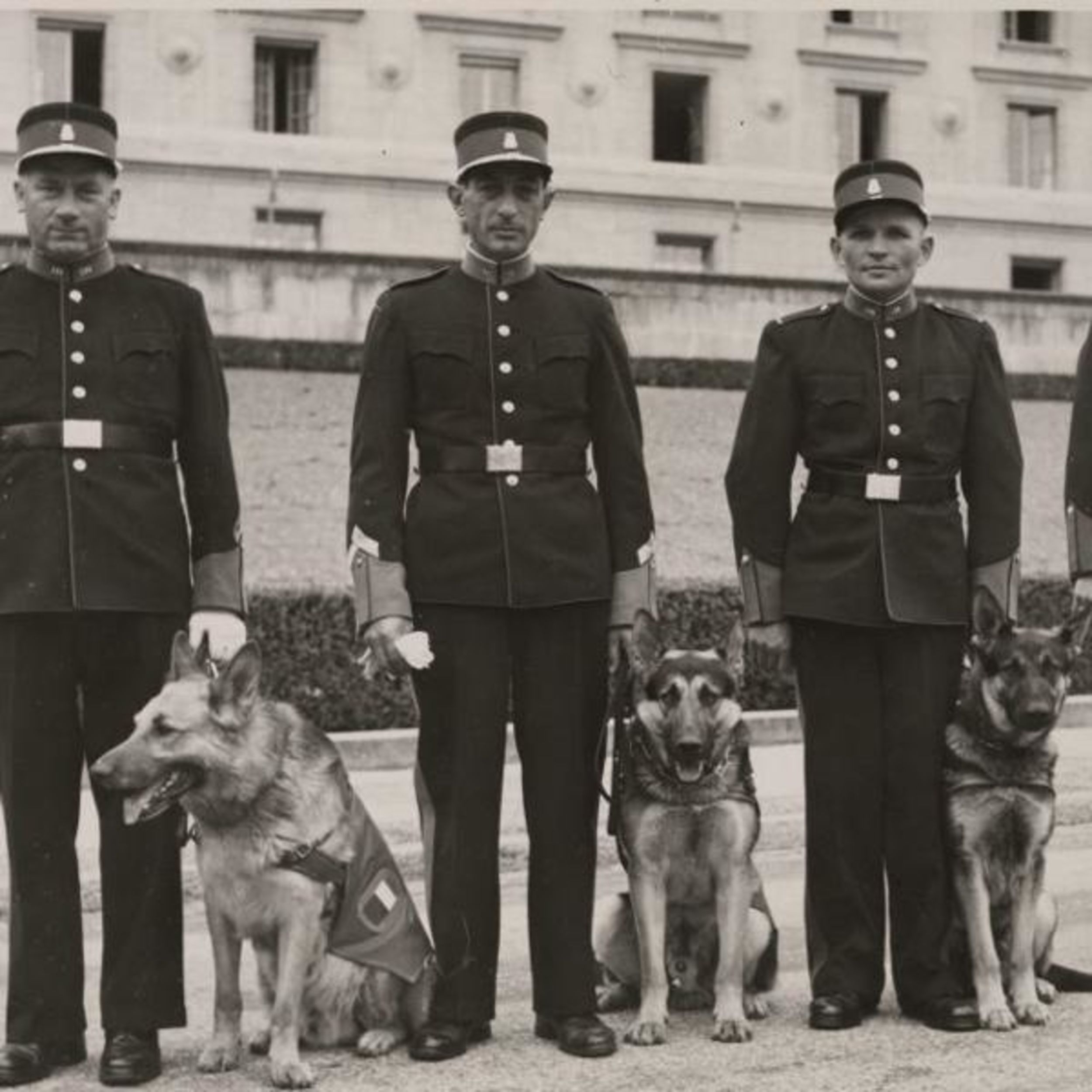 © Anonyme, Portrait de groupe de la Brigade canine en uniforme de cérémonie devant le Tribunal fédéral, photographie, entre 1946 et 1960, coll. Musée Historique Lausanne 
Atelier de numérisation Ville de Lausanne, Olivier Laffely