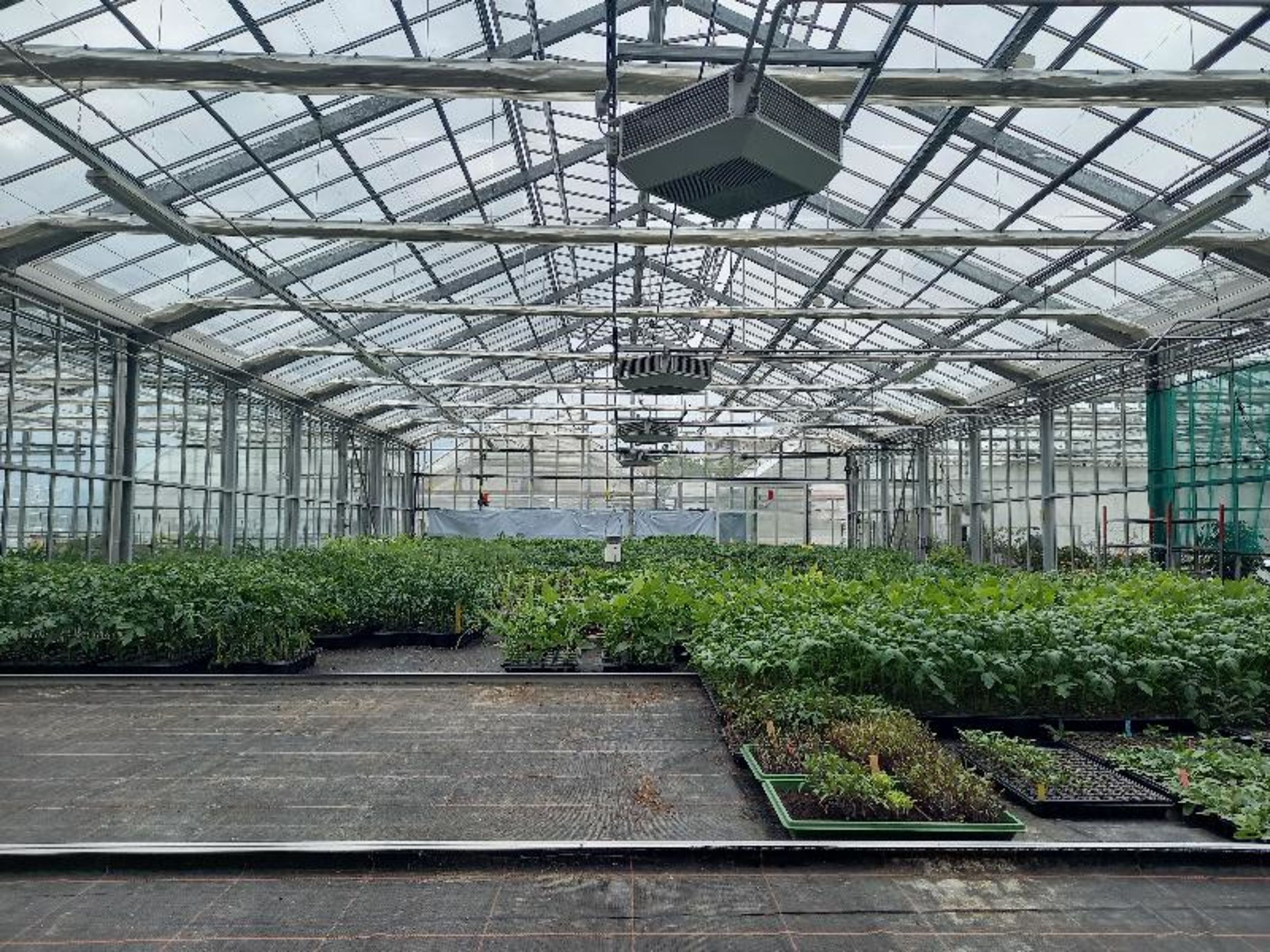 © Serres de l'Etablissement horticole
Droits réservés
