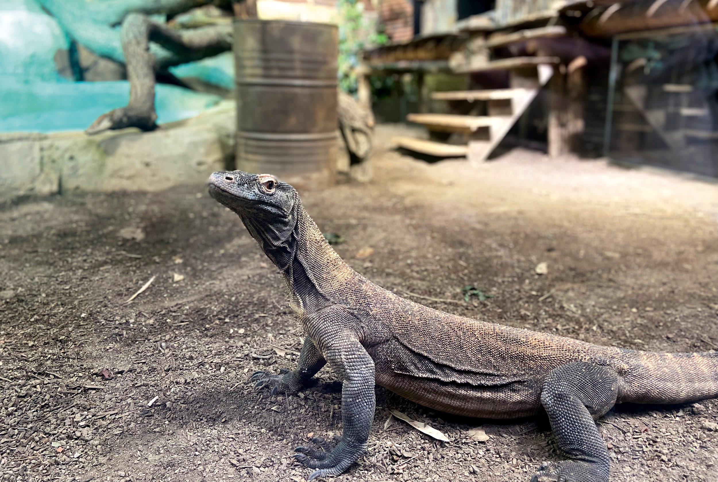 Fascination en eau douce à l'AQUATIS Aquarium-Vivarium Lausanne