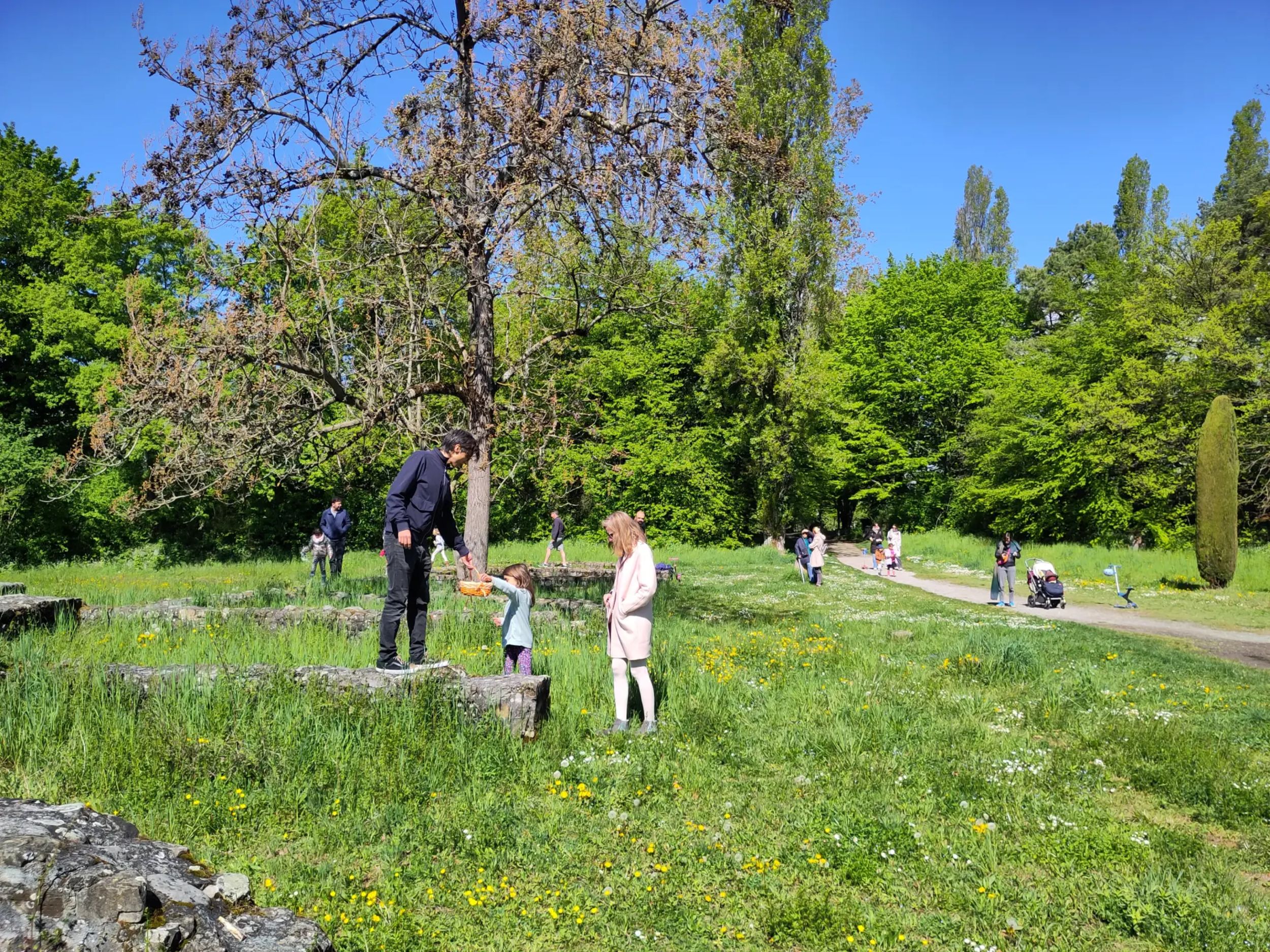 &copy; Maxime Aubert MRV