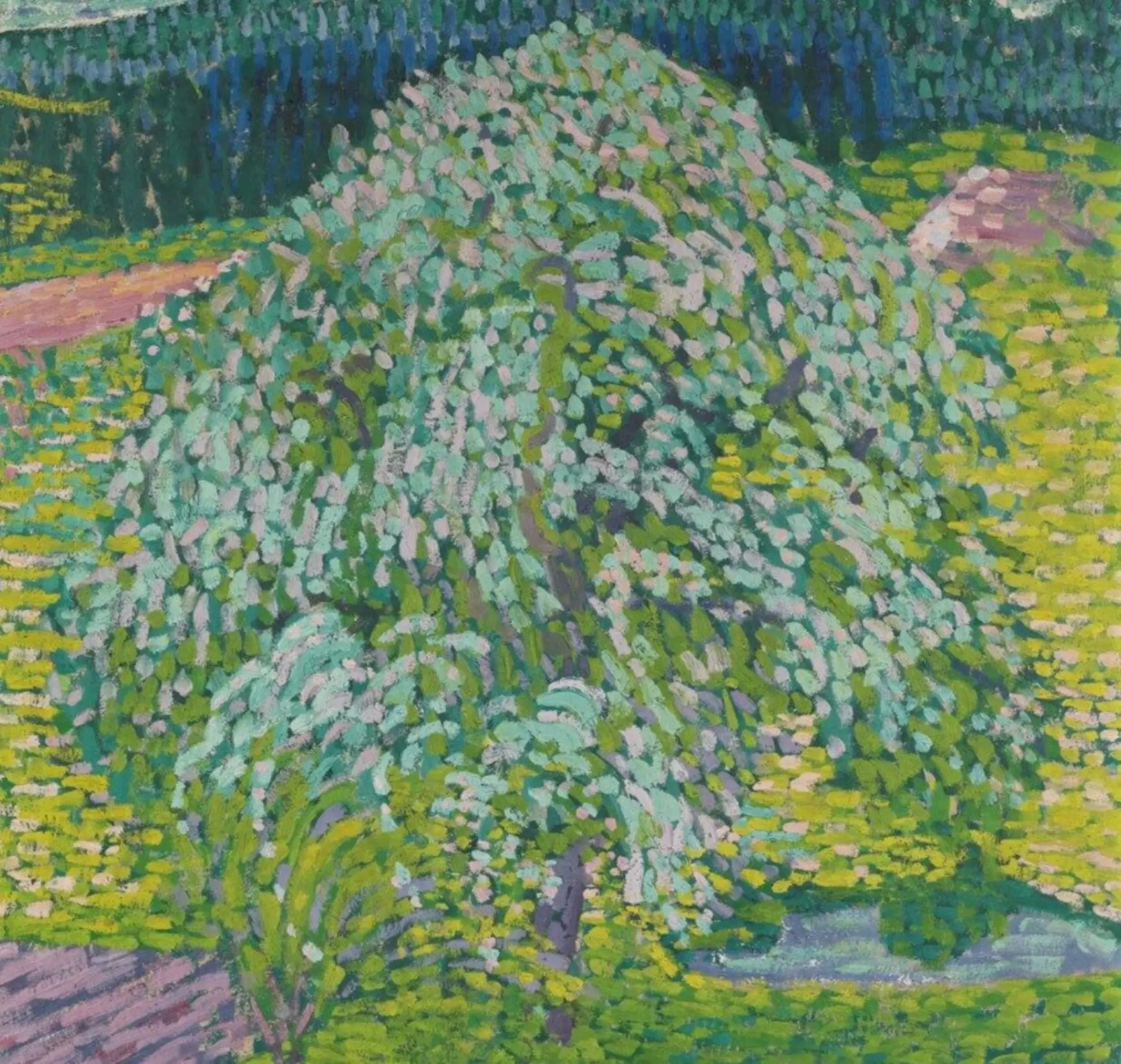 &copy; D. Thalmann, Aarau