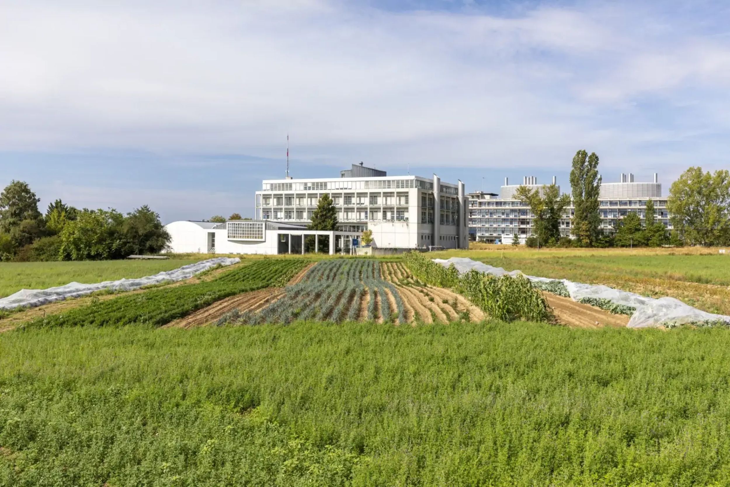 &copy; Fabrice Ducrest  Unil