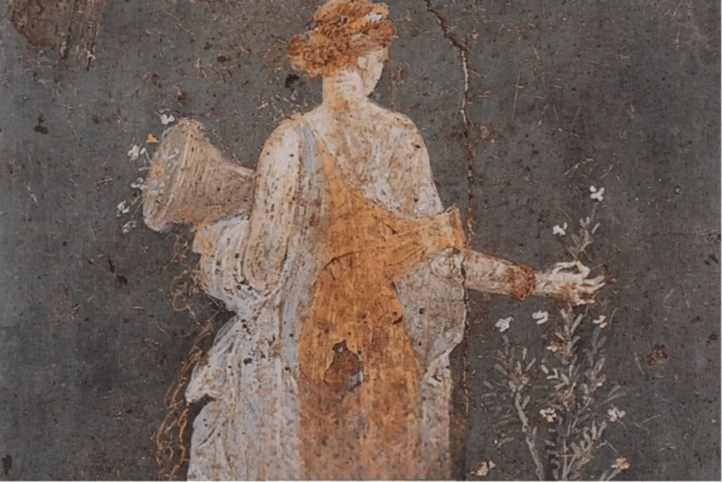 &copy; Droits r&eacute;serv&eacute;s