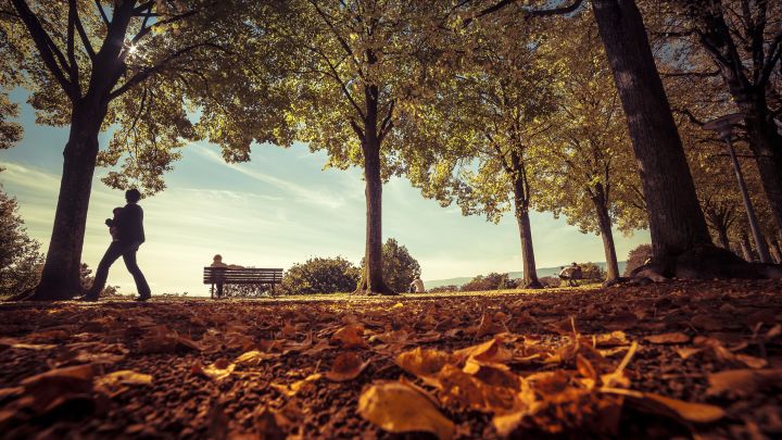 Parc de Valency