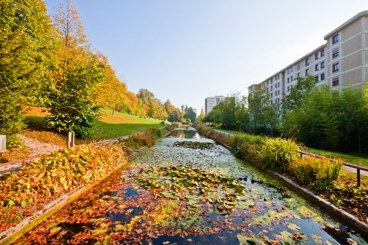 Parc du Désert