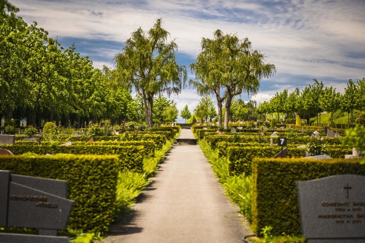 Friedhof Bois-de-Vaux