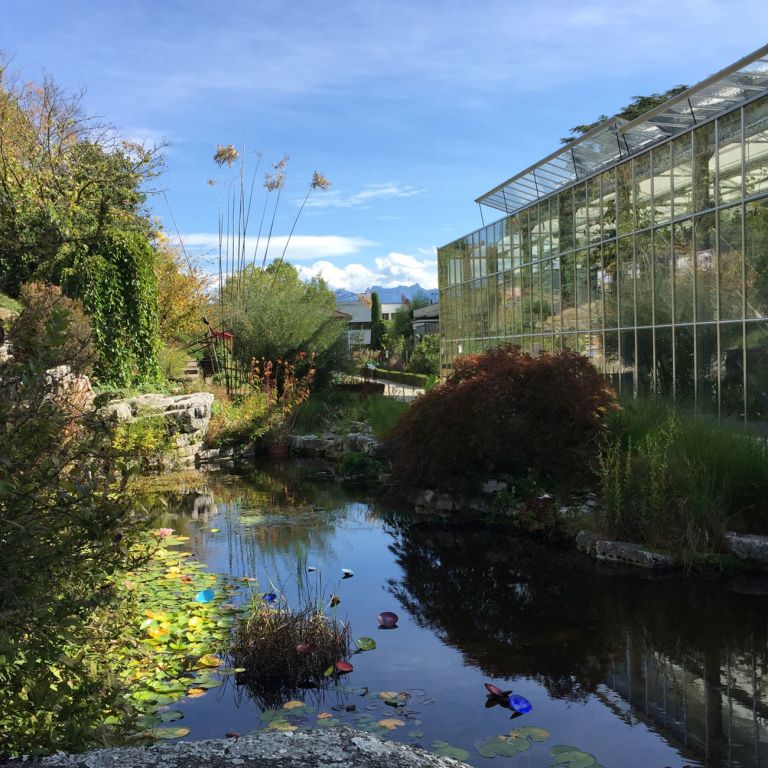 Soirée au Jardin Observer et dessiner les plantes Lausanne Tourisme