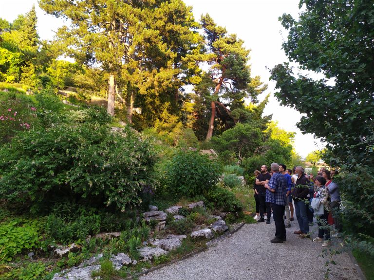 Midi botanique - Les lianes de la serre