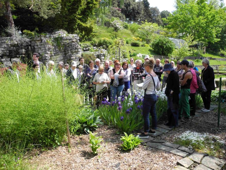 Екскурсія українською мовою по Ботанічному саду / Visite commentée du Jardin botanique en ukrainien