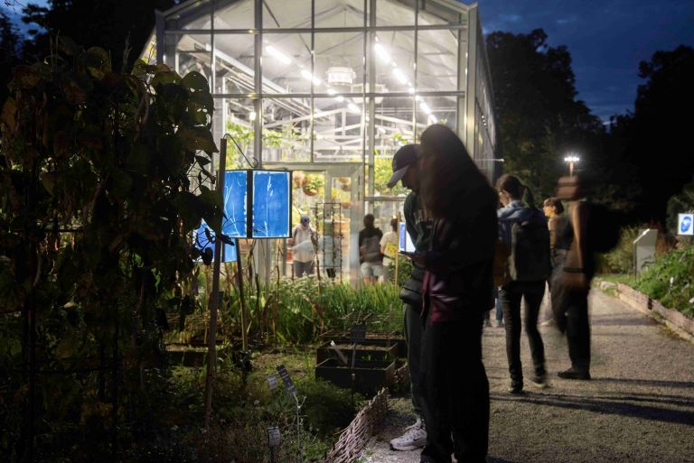 Soirées au Jardin - Ecouter comme une chauve-souris