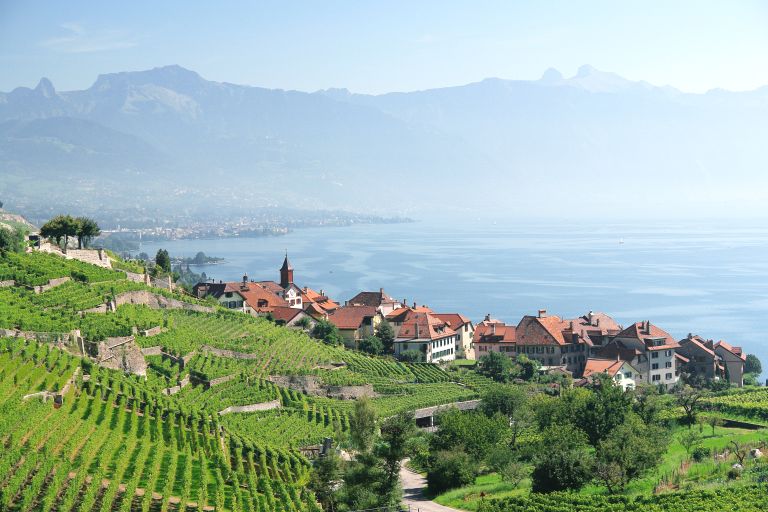 Private guided tour: Walk in Lavaux vineyards – Lausanne Tourisme