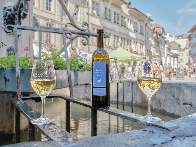 Guided tour Lausanne and its wines Lausanne Tourisme Official site